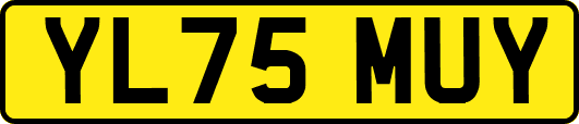 YL75MUY