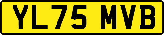 YL75MVB