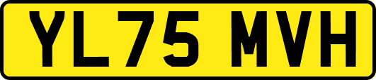 YL75MVH