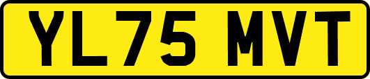 YL75MVT
