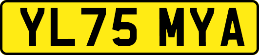YL75MYA