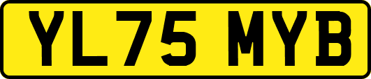 YL75MYB