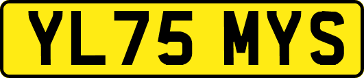 YL75MYS