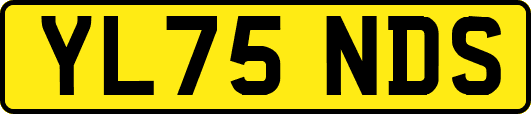 YL75NDS
