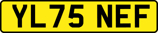 YL75NEF