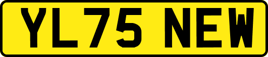 YL75NEW