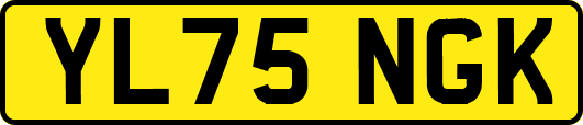 YL75NGK