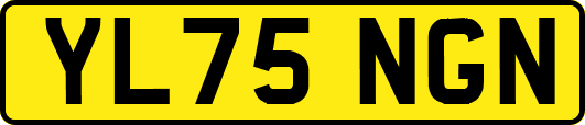 YL75NGN