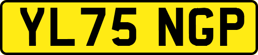 YL75NGP