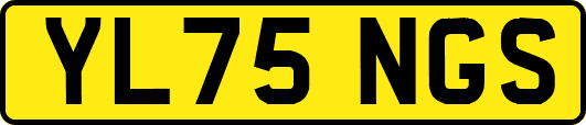YL75NGS