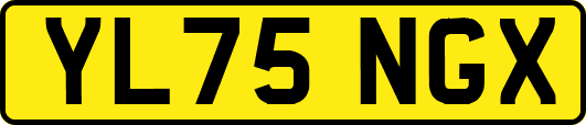 YL75NGX