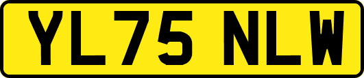 YL75NLW