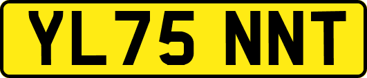 YL75NNT