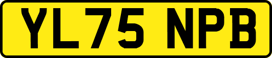 YL75NPB