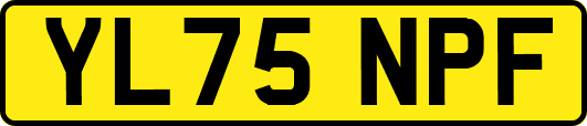 YL75NPF