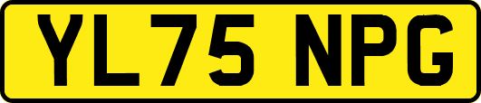 YL75NPG