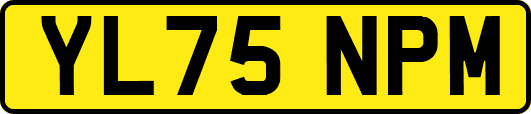 YL75NPM