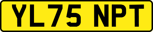 YL75NPT