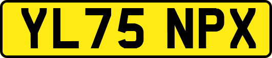 YL75NPX