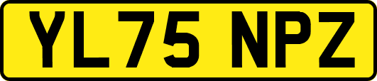 YL75NPZ