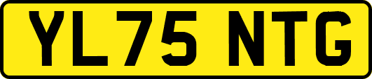YL75NTG