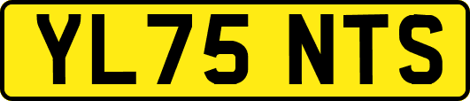 YL75NTS