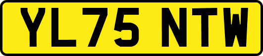 YL75NTW