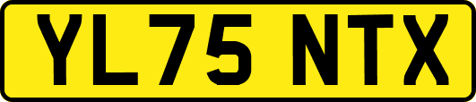 YL75NTX