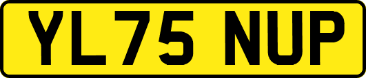 YL75NUP