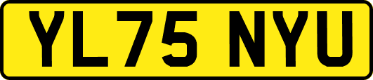 YL75NYU