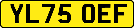 YL75OEF