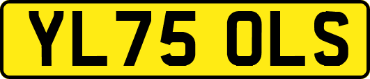 YL75OLS