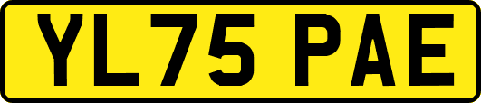 YL75PAE
