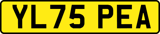 YL75PEA