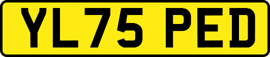 YL75PED