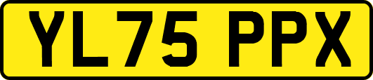 YL75PPX