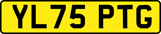 YL75PTG