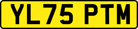 YL75PTM