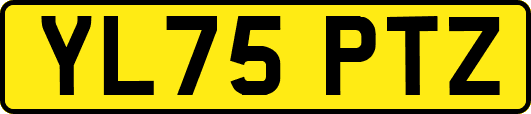 YL75PTZ