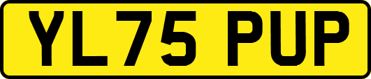 YL75PUP