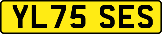 YL75SES