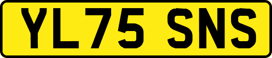 YL75SNS