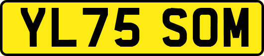 YL75SOM