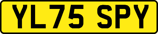 YL75SPY