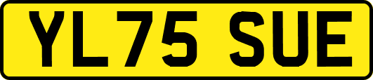 YL75SUE