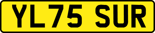 YL75SUR