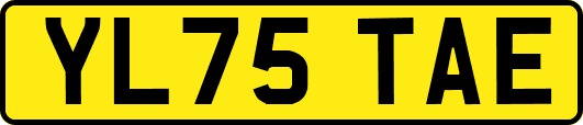 YL75TAE