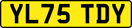 YL75TDY