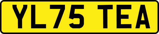 YL75TEA