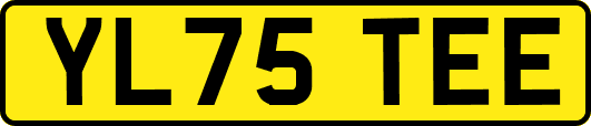 YL75TEE